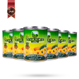 کمپوت آناناس حلقه ای آمریکن گرین فارم american green farm سه کیلویی بسته 6 عددی