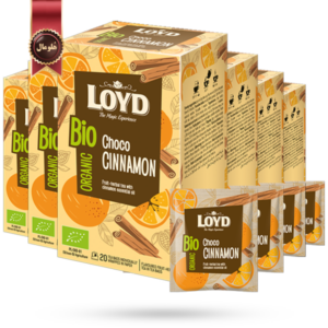 چای کیسه ای بیو ارگانیک لوید LOYD مدل کاکائو دارچین Choco Cinnamon پک 20 تایی بسته 6 عددی