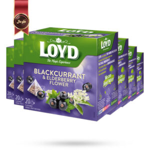 6 بسته چای کیسه ای هرمی لوید LOYD مدل توت سیاه و سنجد Blackcurrant & Elderberry پک 20 تایی