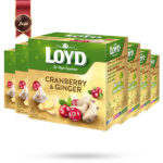 6 بسته چای کیسه ای هرمی لوید LOYD مدل کرن‌بری و زنجبیل Cranberry & Ginger پک 20 تایی