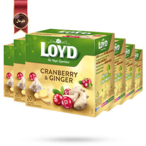 6 بسته چای کیسه ای هرمی لوید LOYD مدل کرن‌بری و زنجبیل Cranberry & Ginger پک 20 تایی