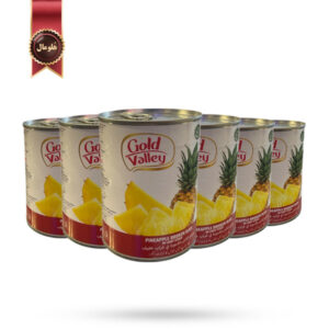 6 عدد کمپوت گلد والی Gold Valley مدل تکه شکسته آناناس Pineapple Broken Slice وزن 565 گرم