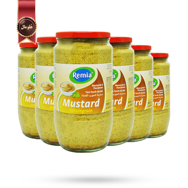 6 عدد سس رمیا Remia مدل خردل دانه دار Mustard WholeGrain وزن 850 گرم (اورجینال)