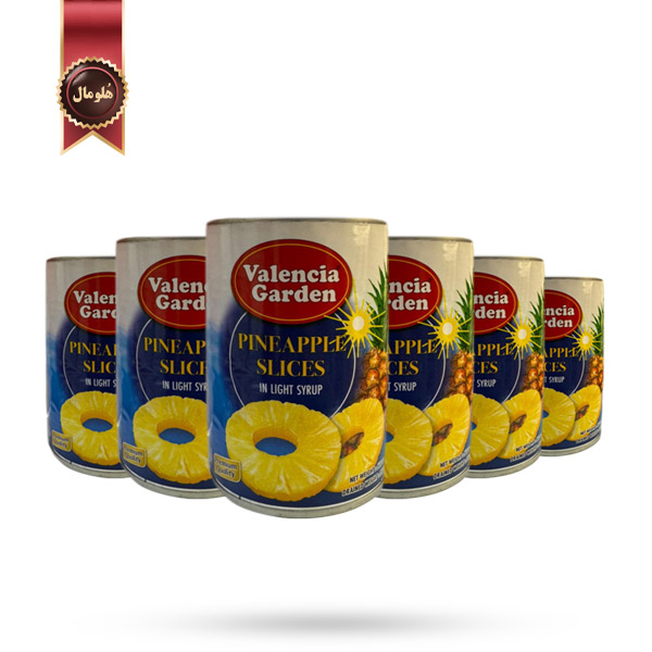 6 عدد کمپوت والنسیا گاردن valencia garden مدل آناناس حلقه‌ای pineapple slices وزن 565 گرم